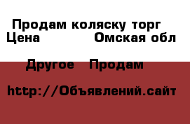 Продам коляску торг › Цена ­ 3 000 - Омская обл. Другое » Продам   